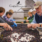 Crow Vineyard and Winery