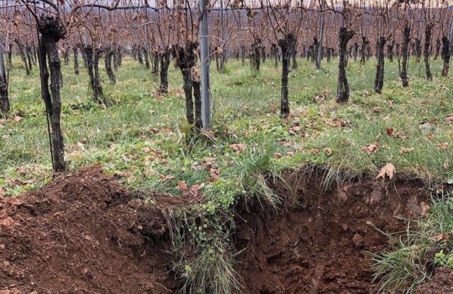 Which grapes to plant where? Maryland winery leans on ‘soil guy’ to dig up that answer