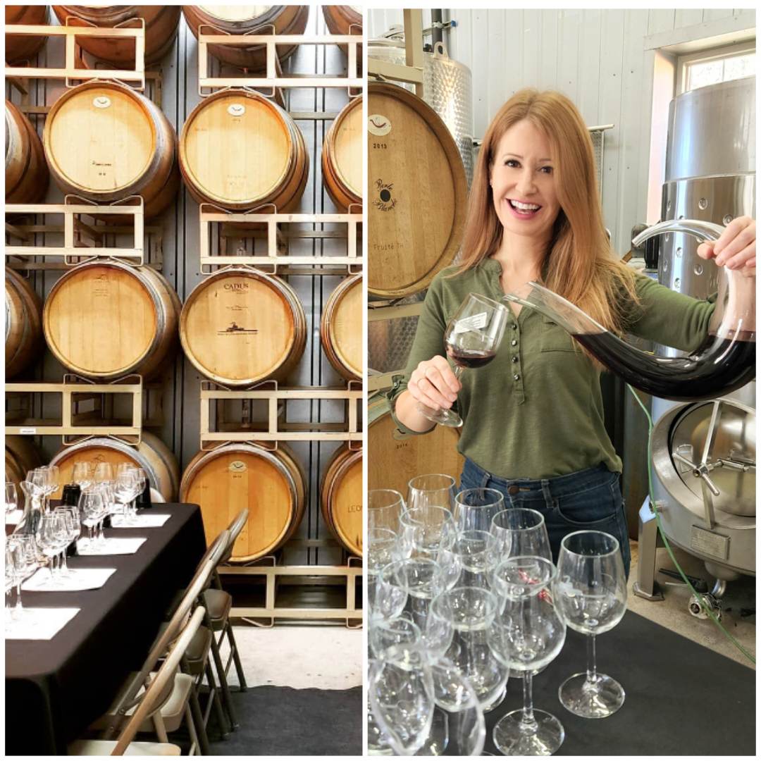 Barrel Cellar Tasting with the Winemaker