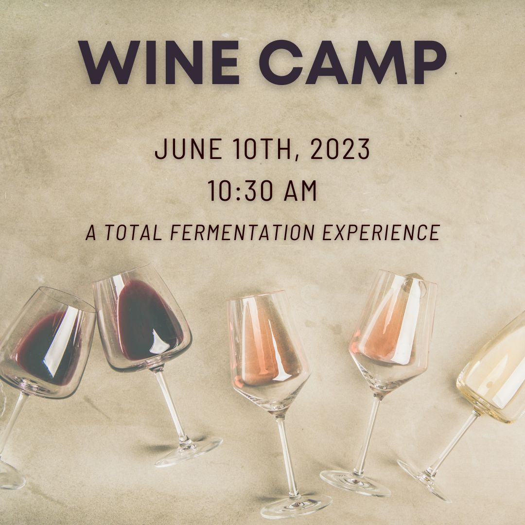 Wine Camp at Loew Vineyards – June Session