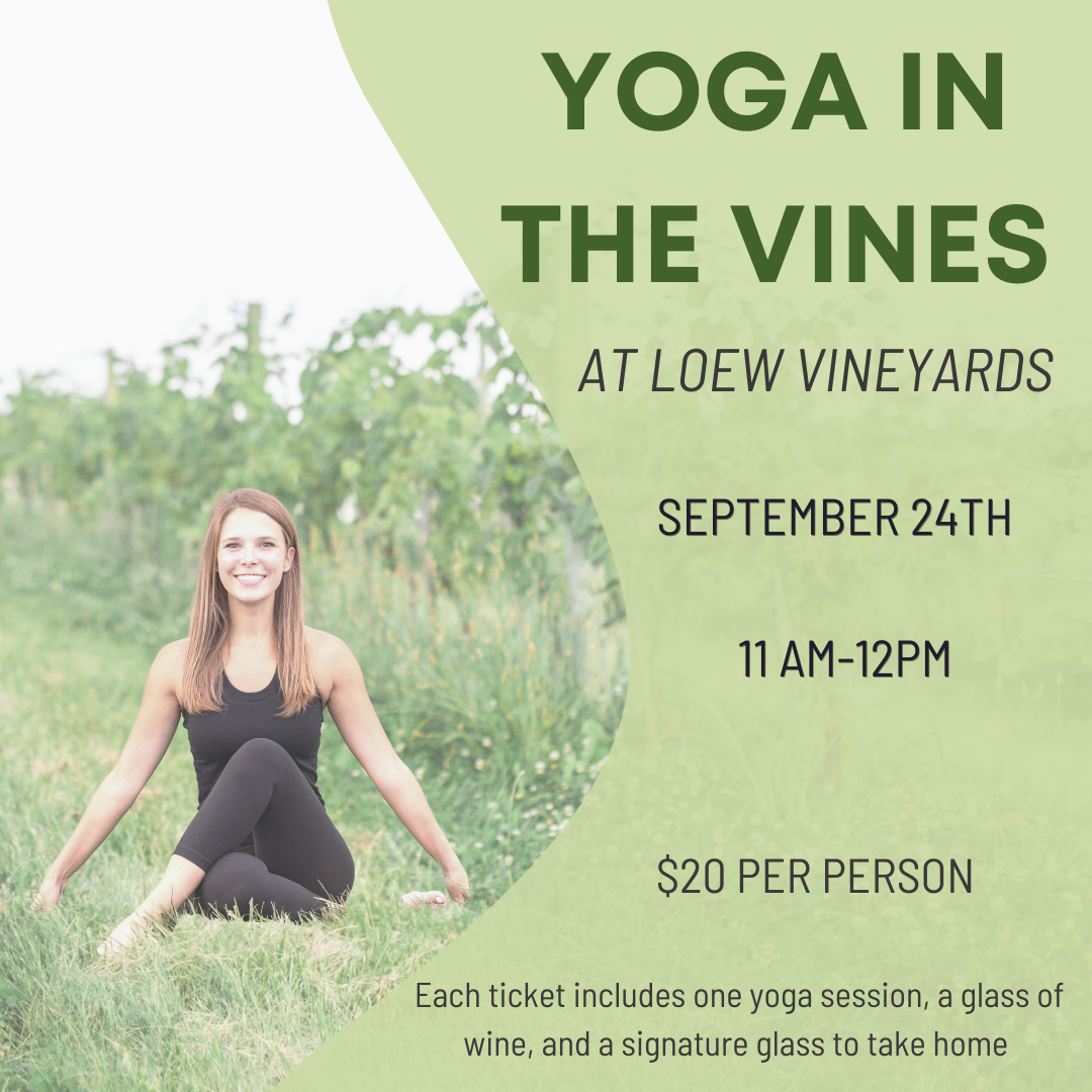 Yoga in the Vines at Loew Vineyards